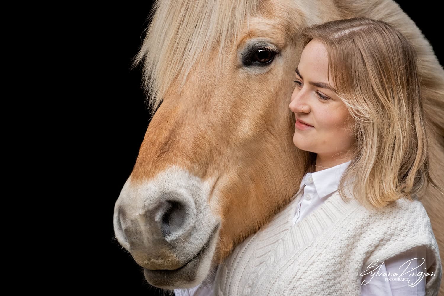 Paardenfotografie in Noord-Holland