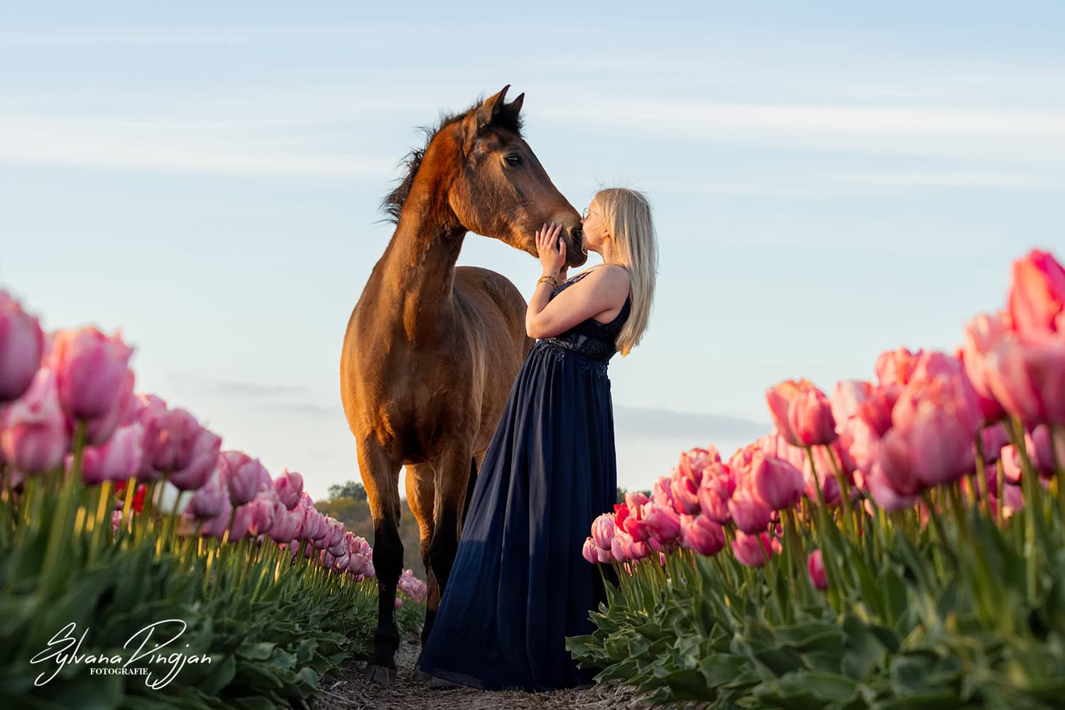 IMG_5110-bewerkt-logo Paardenfotografie in Noord-Holland