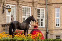 Portfolio | Sylvana Dingjan Fotografie Paardenfotografie in Noord-Holland