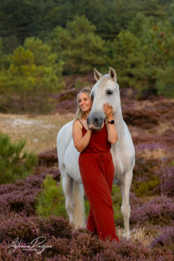 Portfolio | Sylvana Dingjan Fotografie Paardenfotografie in Noord-Holland