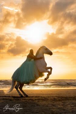 Portfolio | Sylvana Dingjan Fotografie Paardenfotografie in Noord-Holland