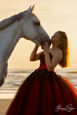 Portfolio | Sylvana Dingjan Fotografie Paardenfotografie in Noord-Holland
